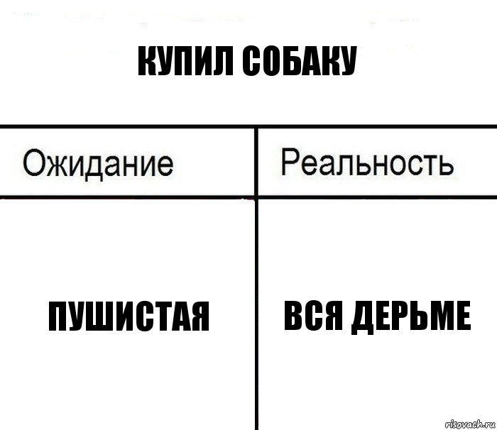 купил собаку пушистая вся дерьме, Комикс  Ожидание - реальность