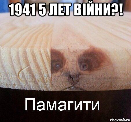 1941 5 лет вiйни?! , Мем   Памагити