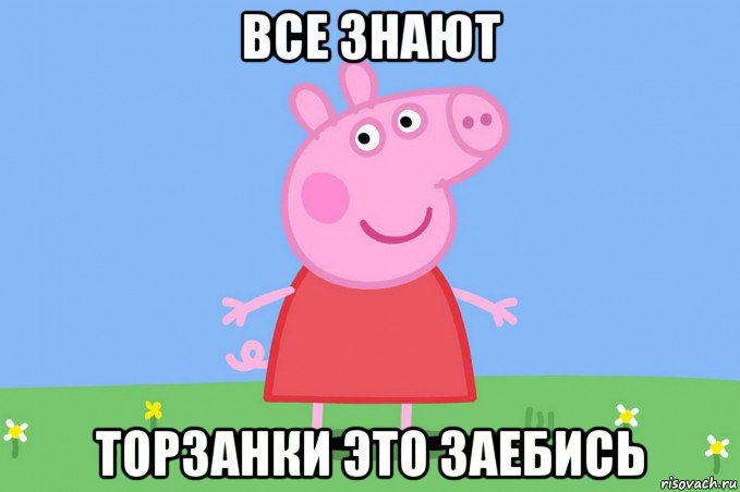 все знают торзанки это заебись, Мем Пеппа