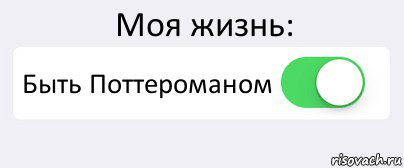 Моя жизнь: Быть Поттероманом , Комикс Переключатель