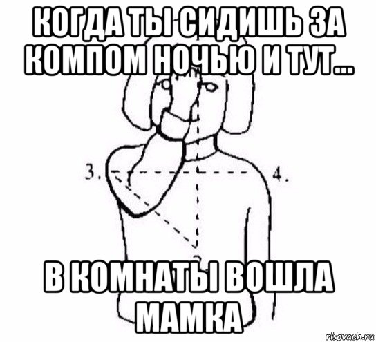 когда ты сидишь за компом ночью и тут... в комнаты вошла мамка, Мем  Перекреститься