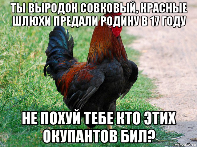 ты выродок совковый, красные шлюхи предали родину в 17 году не похуй тебе кто этих окупантов бил?, Мем петух