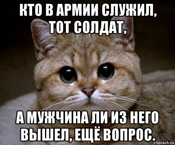 кто в армии служил, тот солдат, а мужчина ли из него вышел, ещё вопрос., Мем Пидрила Ебаная