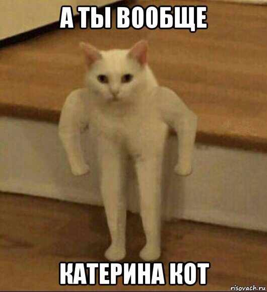 а ты вообще катерина кот