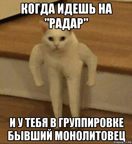 когда идешь на "радар" и у тебя в группировке бывший монолитовец, Мем  Полукот