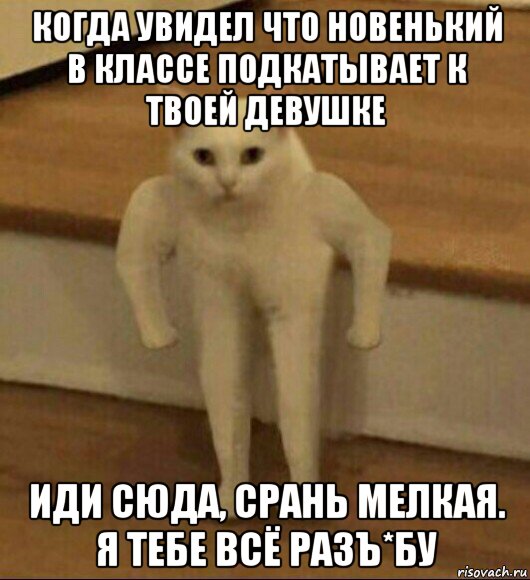 когда увидел что новенький в классе подкатывает к твоей девушке иди сюда, срань мелкая. я тебе всё разъ*бу, Мем  Полукот