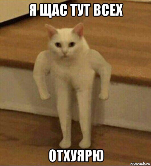 я щас тут всех отхуярю, Мем  Полукот