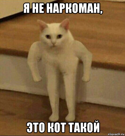 я не наркоман, это кот такой, Мем  Полукот