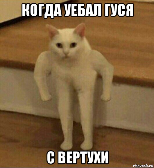 когда уебал гуся с вертухи