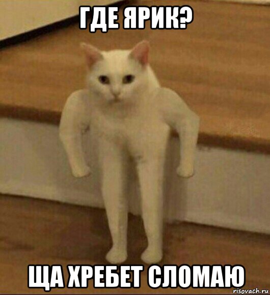 где ярик? ща хребет сломаю