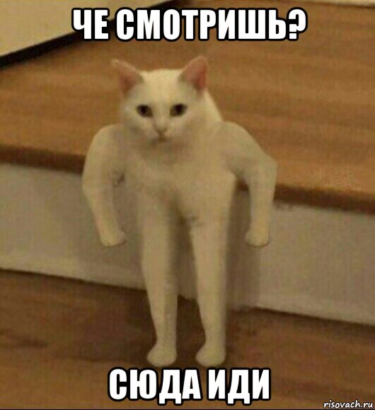 че смотришь? сюда иди