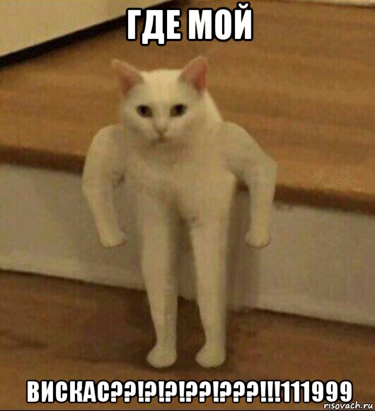 где мой вискас??!?!?!??!???!!!111999, Мем  Полукот