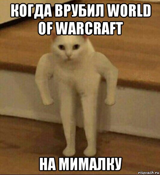 когда врубил world of warcraft на мималку, Мем  Полукот