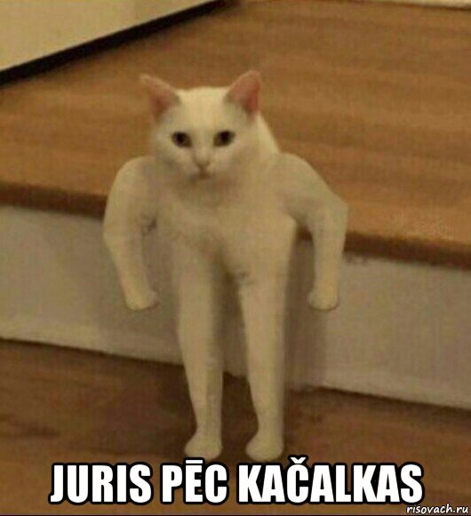  juris pēc kačalkas