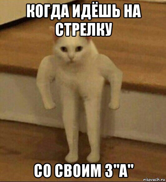 когда идёшь на стрелку со своим 3"а", Мем  Полукот