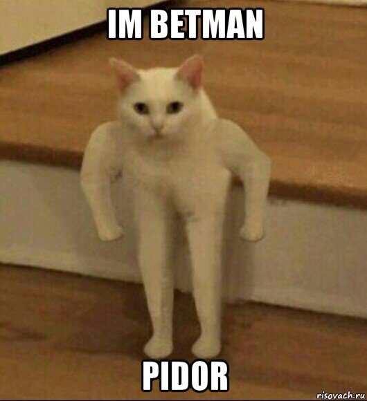 im betman pidor, Мем  Полукот