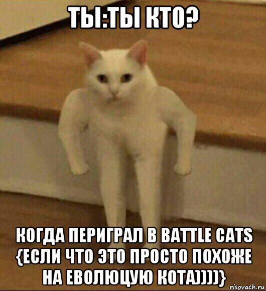 ты:ты кто? когда периграл в battle cats {если что это просто похоже на еволюцую кота))))}, Мем  Полукот