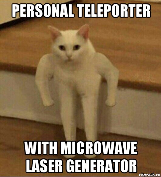 personal teleporter with microwave laser generator, Мем  Полукот