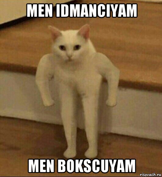 men idmanciyam men bokscuyam, Мем  Полукот