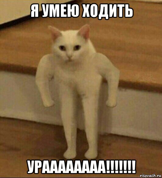 я умею ходить ураааааааа!!!!!!!, Мем  Полукот