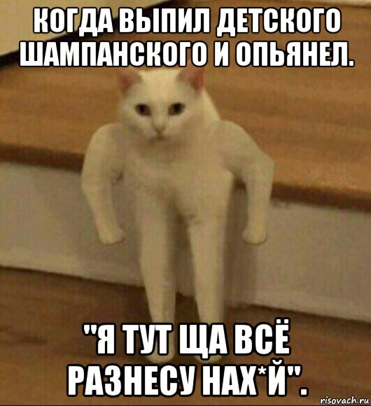 когда выпил детского шампанского и опьянел. "я тут ща всё разнесу нах*й"., Мем  Полукот