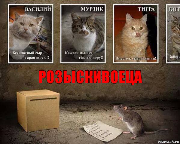 РОЗЫСКИВОЕЦА