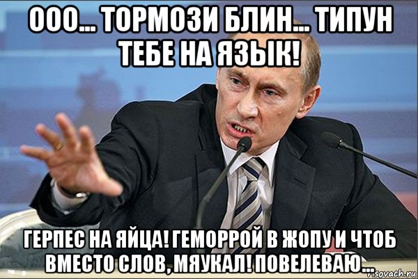 ооо... тормози блин... типун тебе на язык! герпес на яйца! геморрой в жопу и чтоб вместо слов, мяукал! повелеваю..., Мем Путин