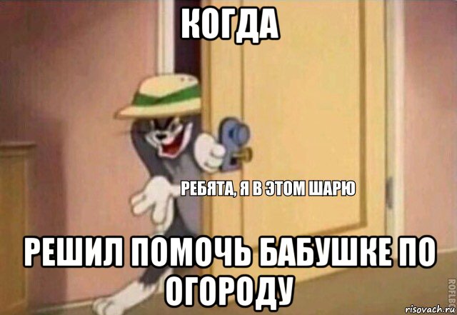 когда решил помочь бабушке по огороду