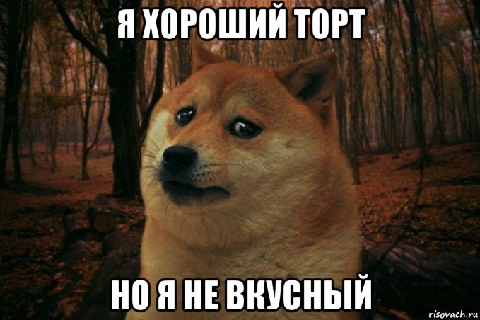 я хороший торт но я не вкусный, Мем SAD DOGE