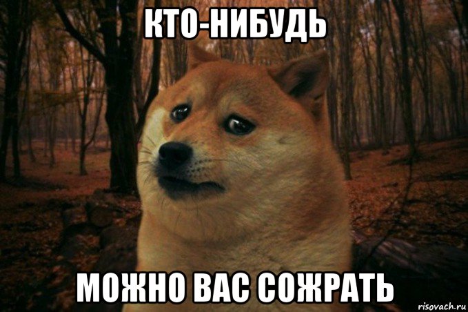 кто-нибудь можно вас сожрать, Мем SAD DOGE