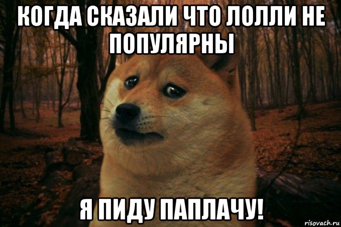 когда сказали что лолли не популярны я пиду паплачу!, Мем SAD DOGE