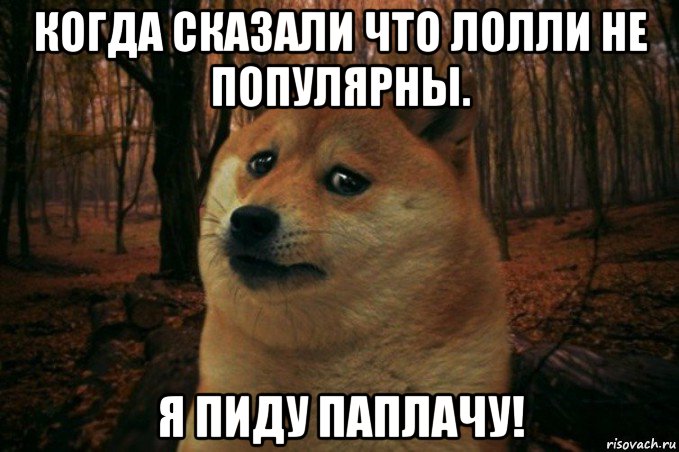 когда сказали что лолли не популярны. я пиду паплачу!, Мем SAD DOGE