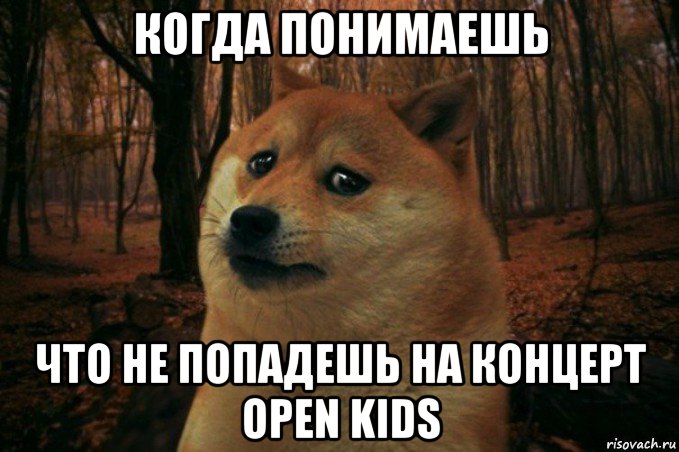 когда понимаешь что не попадешь на концерт open kids, Мем SAD DOGE