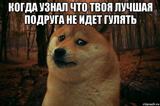 когда узнал что твоя лучшая подруга не идет гулять , Мем SAD DOGE