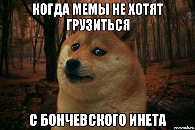 когда мемы не хотят грузиться с бончевского инета, Мем SAD DOGE