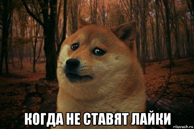  когда не ставят лайки, Мем SAD DOGE