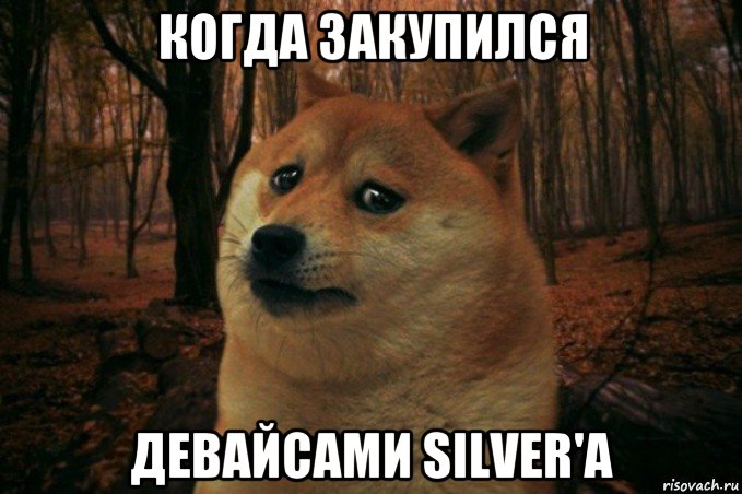 когда закупился девайсами silver'a, Мем SAD DOGE