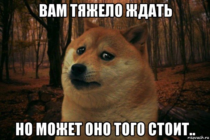 вам тяжело ждать но может оно того стоит.., Мем SAD DOGE