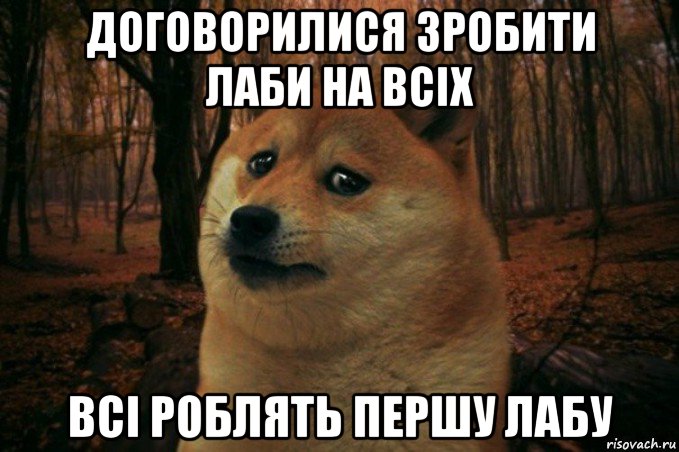 договорилися зробити лаби на всіх всі роблять першу лабу, Мем SAD DOGE