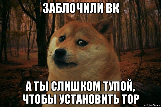 заблочили вк а ты слишком тупой, чтобы установить тор, Мем SAD DOGE