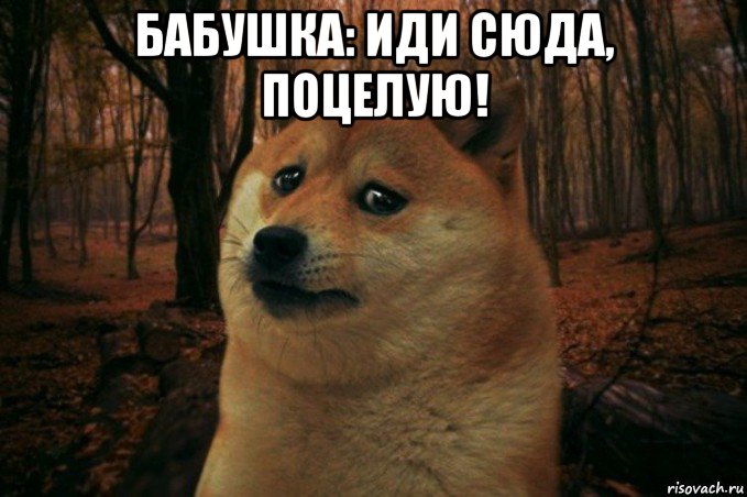 бабушка: иди сюда, поцелую! , Мем SAD DOGE