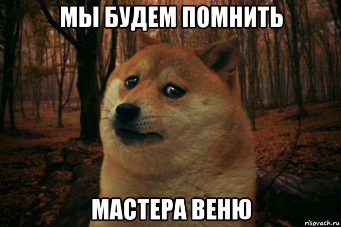 мы будем помнить мастера веню, Мем SAD DOGE