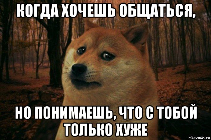 когда хочешь общаться, но понимаешь, что с тобой только хуже, Мем SAD DOGE