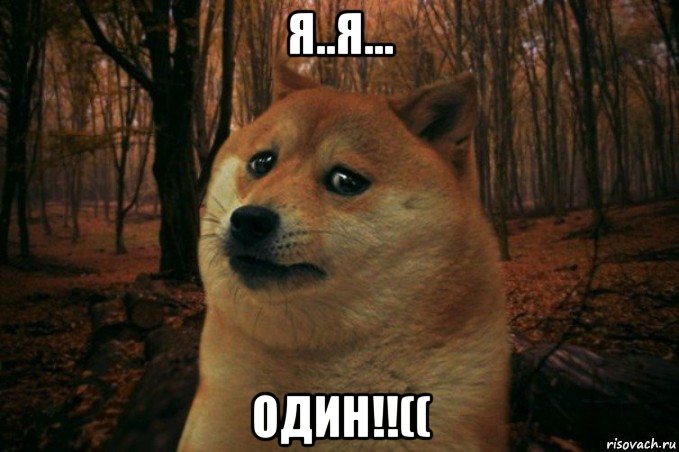 я..я... один!!((, Мем SAD DOGE