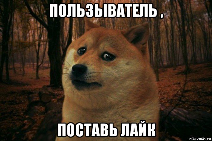 пользыватель , поставь лайк, Мем SAD DOGE