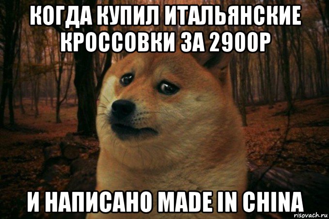 когда купил итальянские кроссовки за 2900р и написано made in china, Мем SAD DOGE