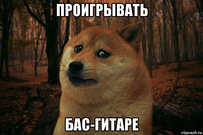 проигрывать бас-гитаре, Мем SAD DOGE