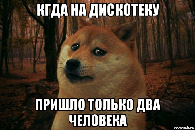 кгда на дискотеку пришло только два человека, Мем SAD DOGE