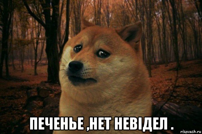  печенье ,нет невiдел ., Мем SAD DOGE