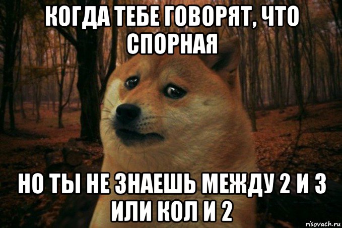 когда тебе говорят, что спорная но ты не знаешь между 2 и 3 или кол и 2, Мем SAD DOGE